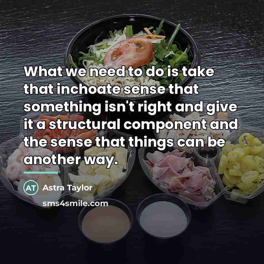 “What we need to do is take that inchoate sense…” quote by Astra Taylor