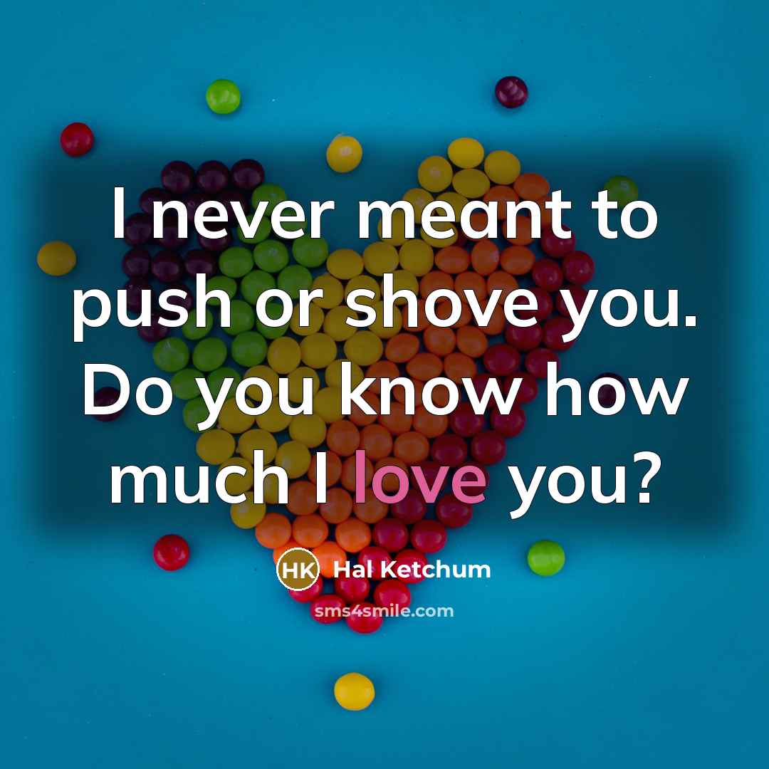“I never meant to push or shove you. Do you…” quote by Hal Ketchum