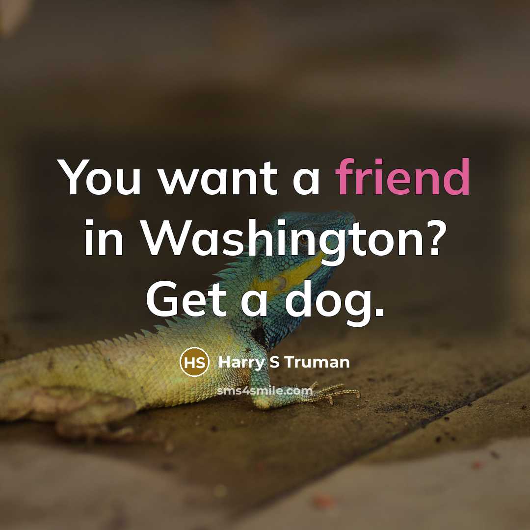 “You want a friend in Washington? Get a dog.” quote by Harry S Truman