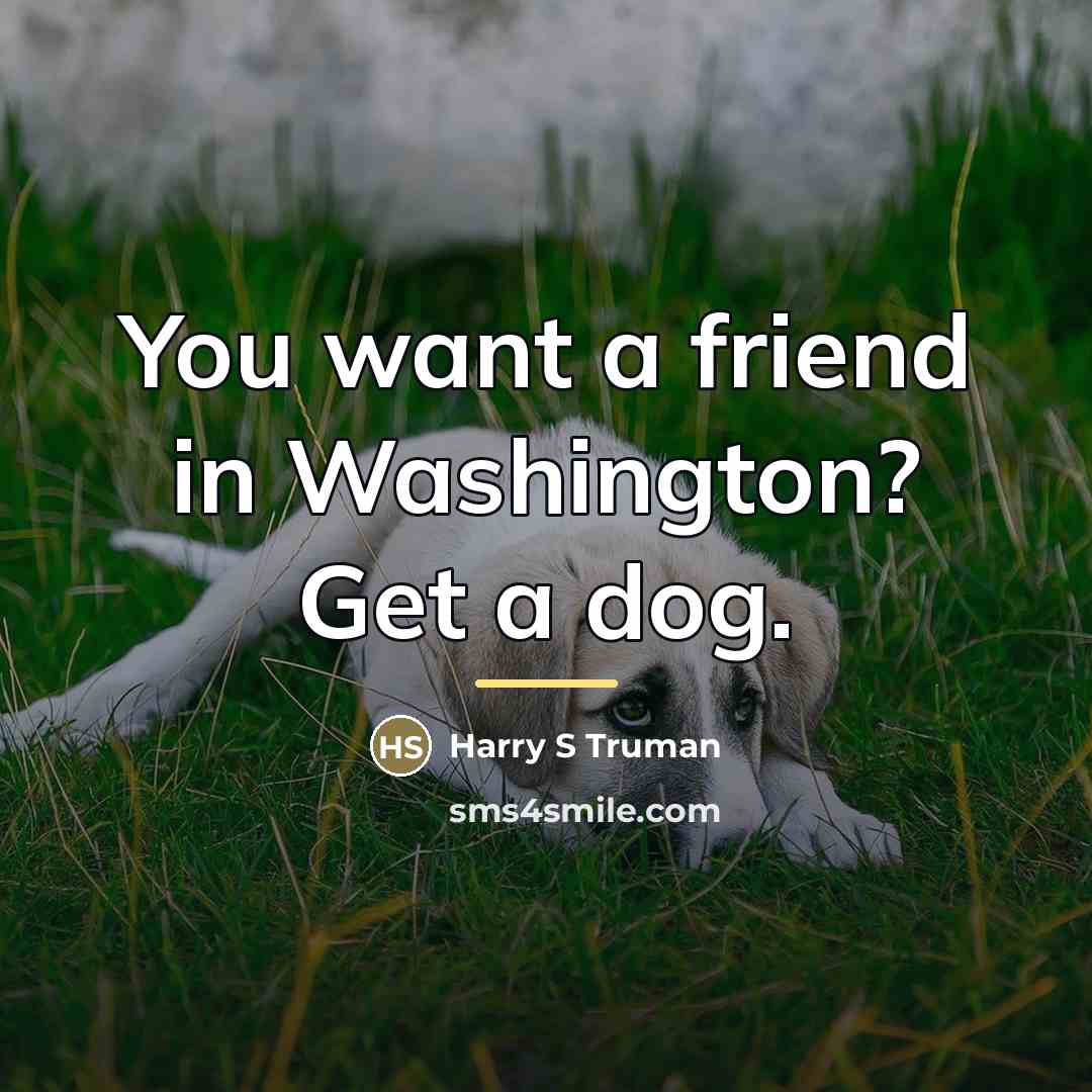 “You want a friend in Washington? Get a dog.…” quote by Harry S Truman