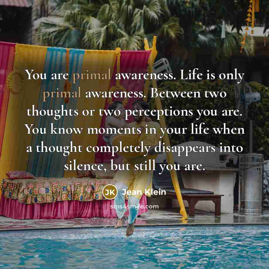 “You are primal awareness. Life is only primal awareness. Between…” quote by Jean Klein