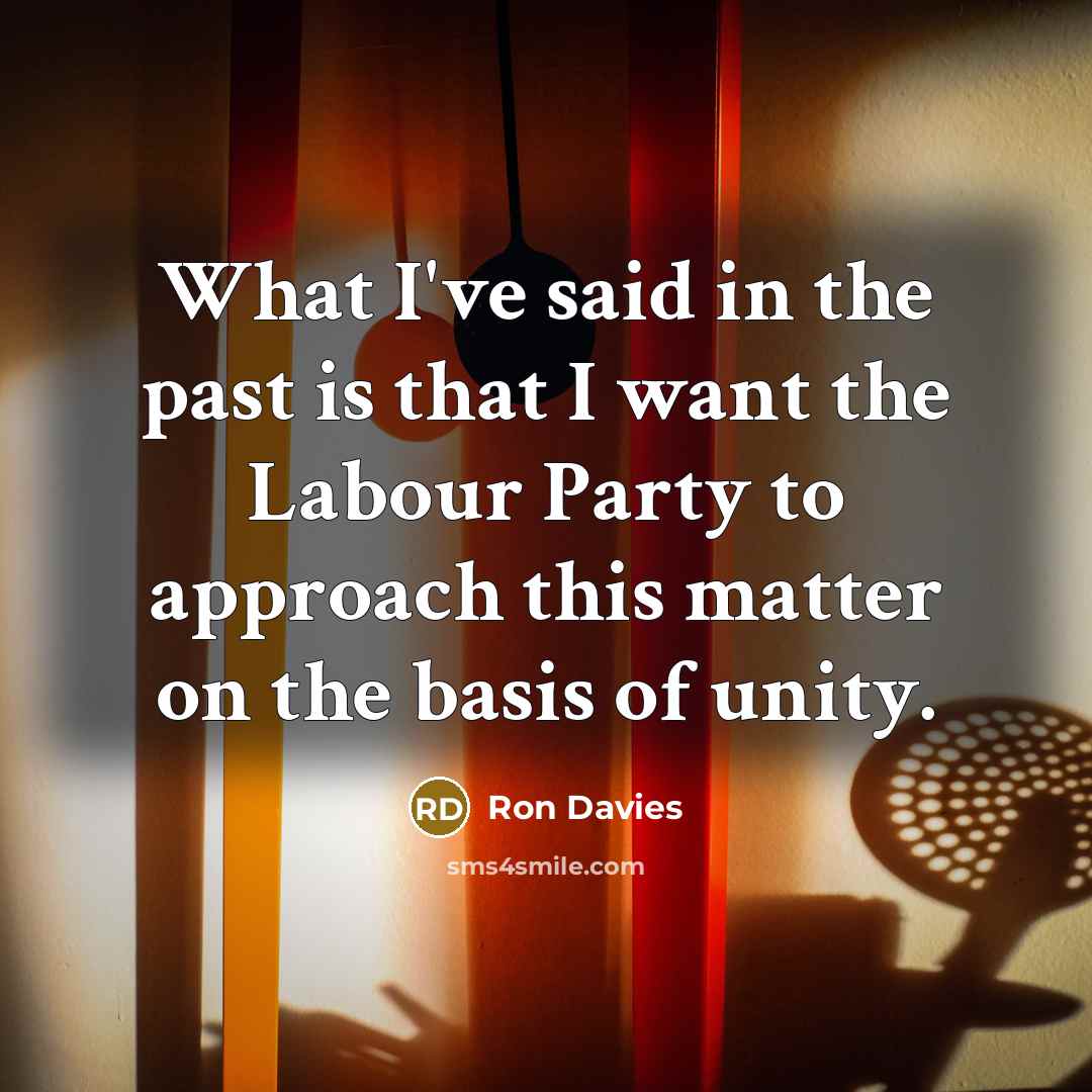 “What I've said in the past is that I want…” quote by Ron Davies