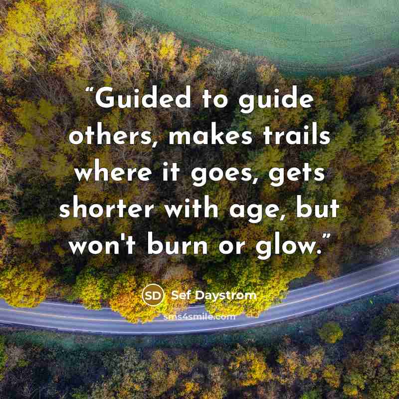 “Guided to guide others, makes trails where it goes, gets shorter with age, but won't burn or glow.” quote by Sef Daystrom