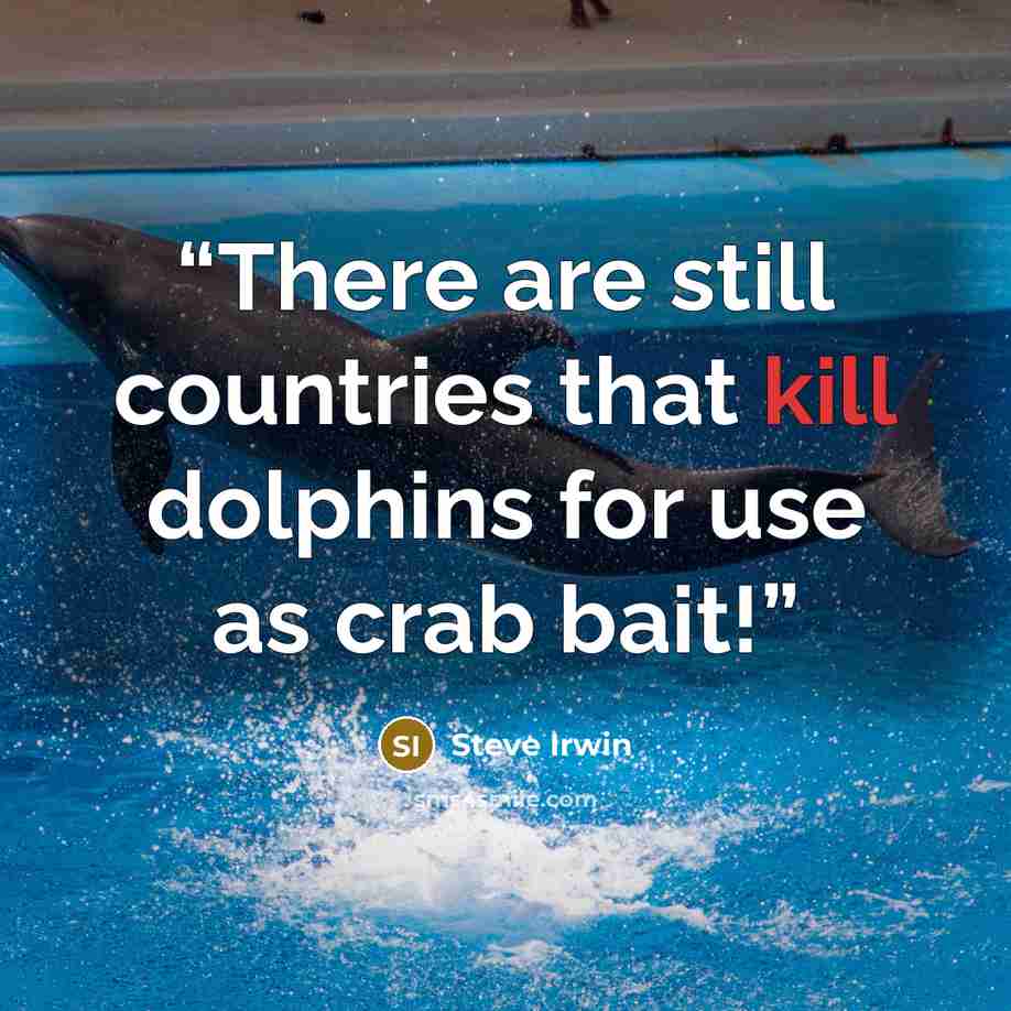 “There are still countries that kill dolphins for use as crab bait!” quote by Steve Irwin