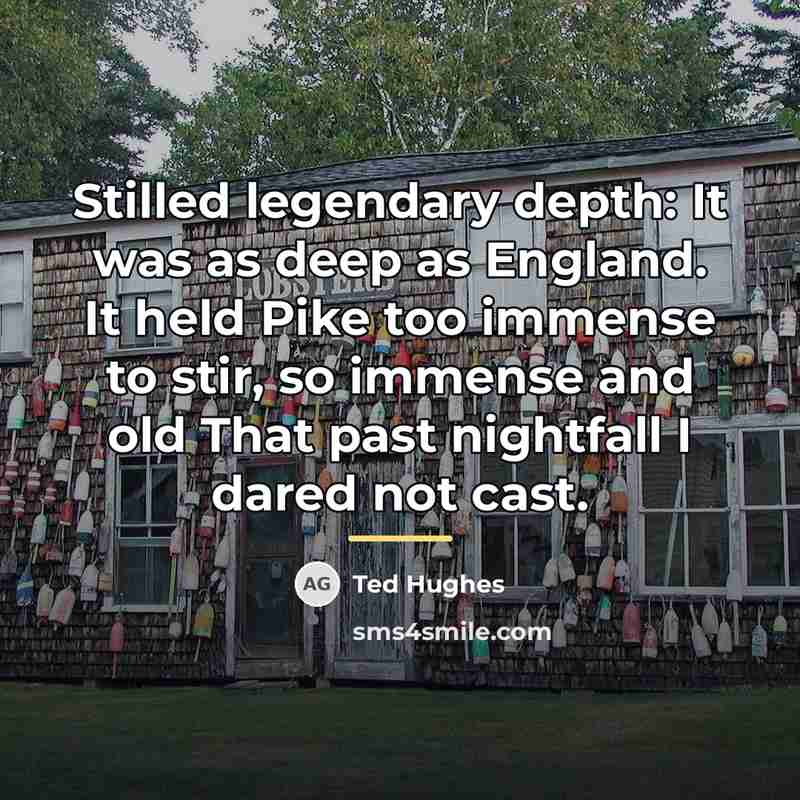 “Stilled legendary depth: It was as deep as England. It…” quote by Ted Hughes