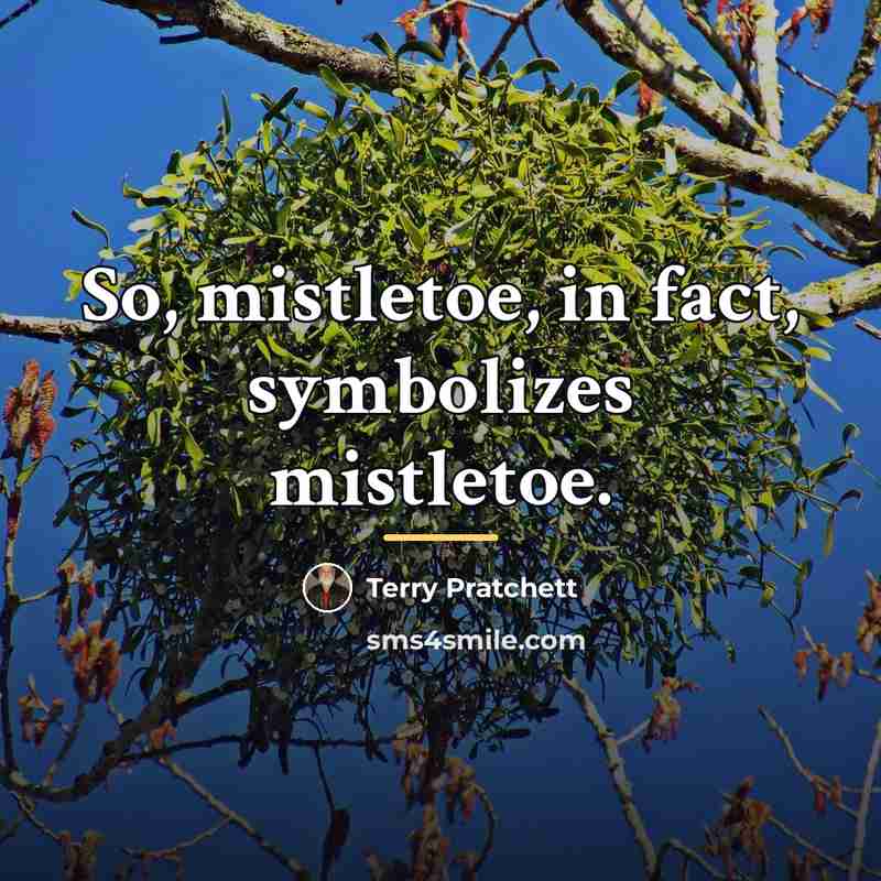 “So, mistletoe, in fact, symbolizes mistletoe.…” quote by Terry Pratchett