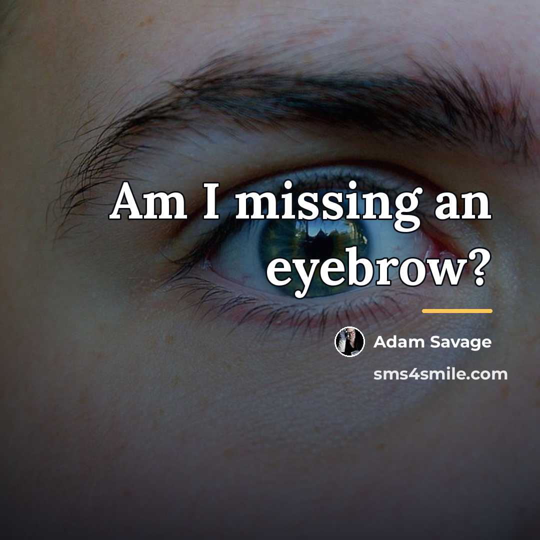 “Am I missing an eyebrow?…” quote by Adam Savage