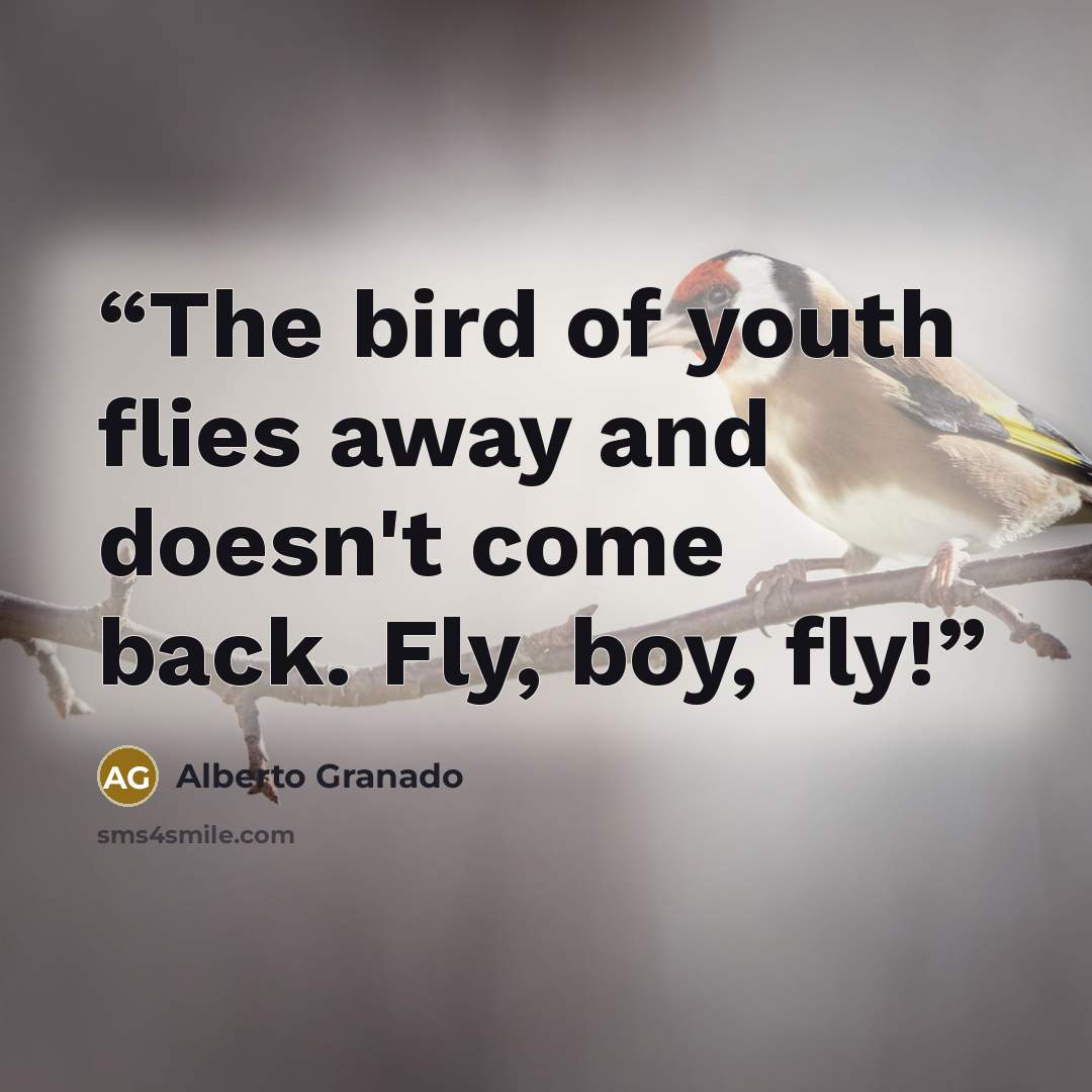 “The bird of youth flies away and doesn't come back. Fly, boy, fly!” quote by Alberto Granado