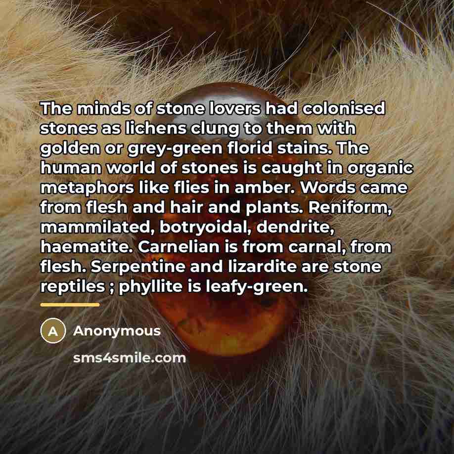 “The minds of stone lovers had colonised stones as lichens…” quote by Anonymous
