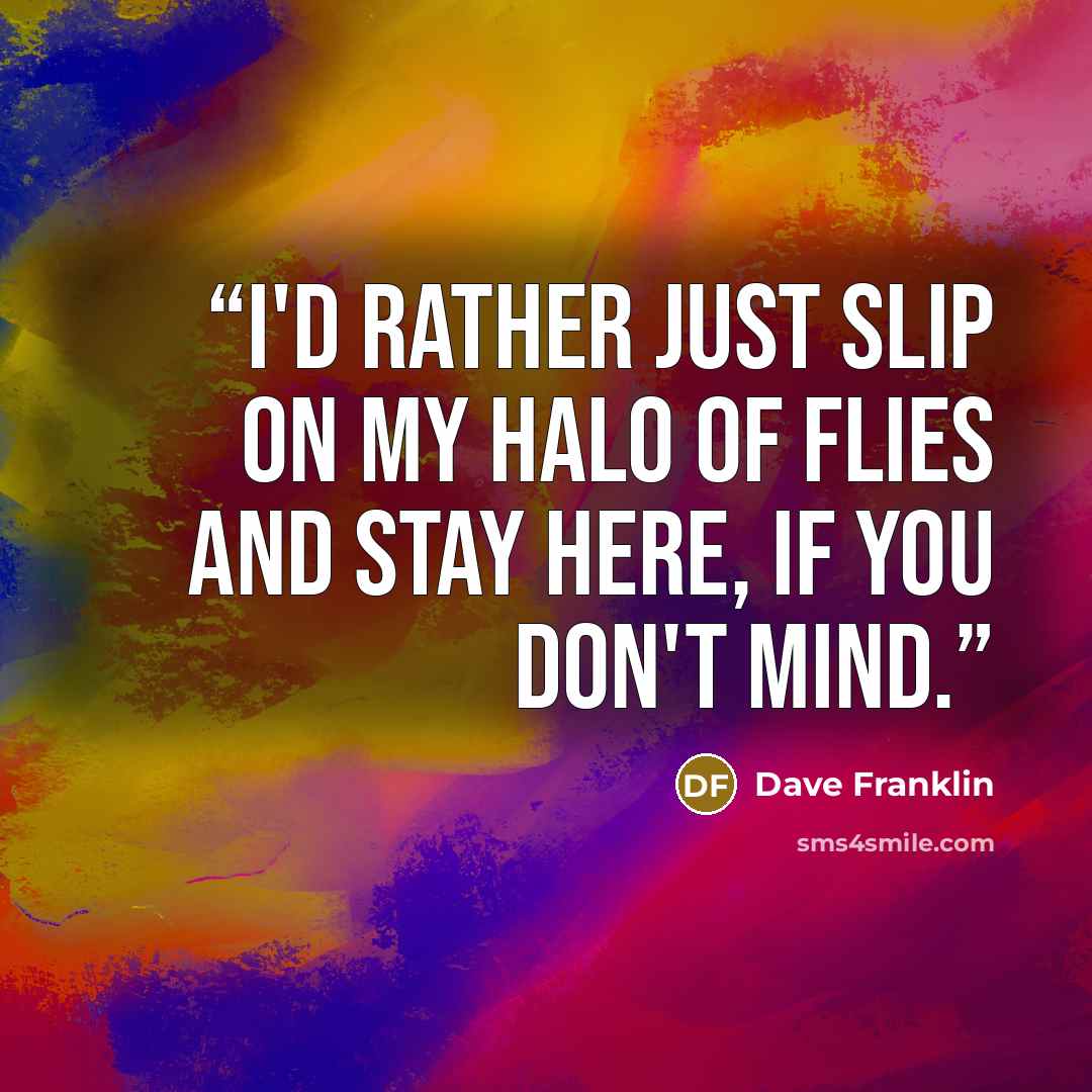 “I'd rather just slip on my halo of flies and stay here, if you don't mind.” quote by Dave Franklin