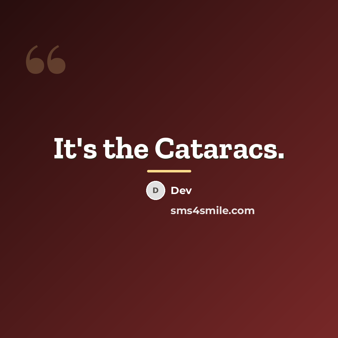 “It's the Cataracs.…” quote by Dev