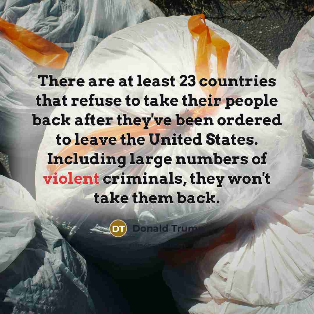 “There are at least 23 countries that refuse to take…” quote by Donald Trump