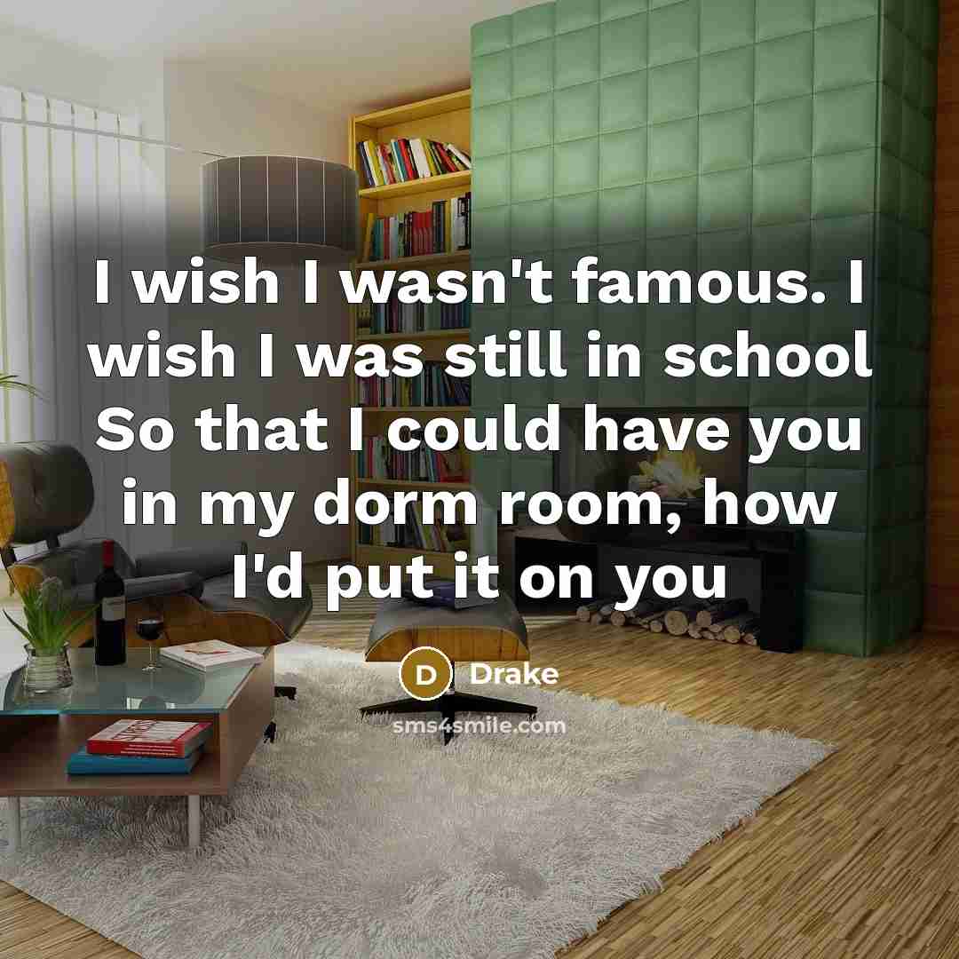“I wish I wasn't famous. I wish I was still…” quote by Drake