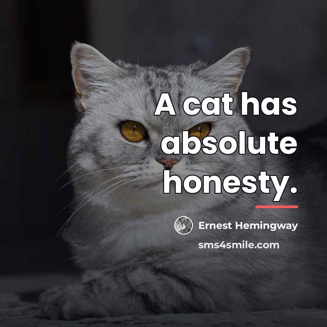 “A cat has absolute honesty.…” quote by Ernest Hemingway