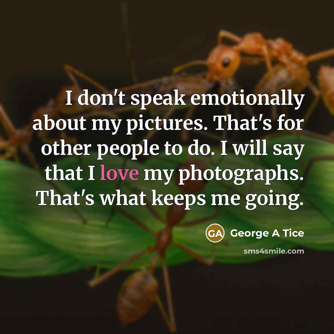 “I don't speak emotionally about my pictures. That's for other…” quote by George A Tice