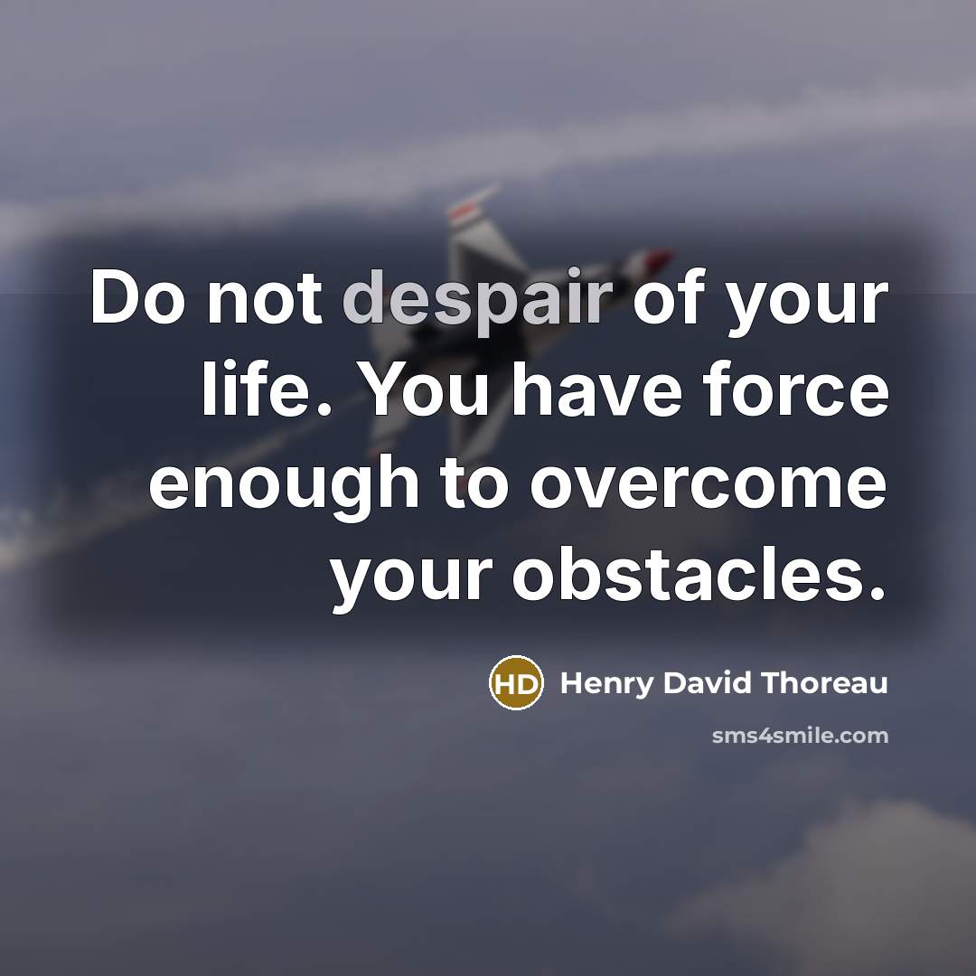“Do not despair of your life. You have force enough…” quote by Henry David Thoreau