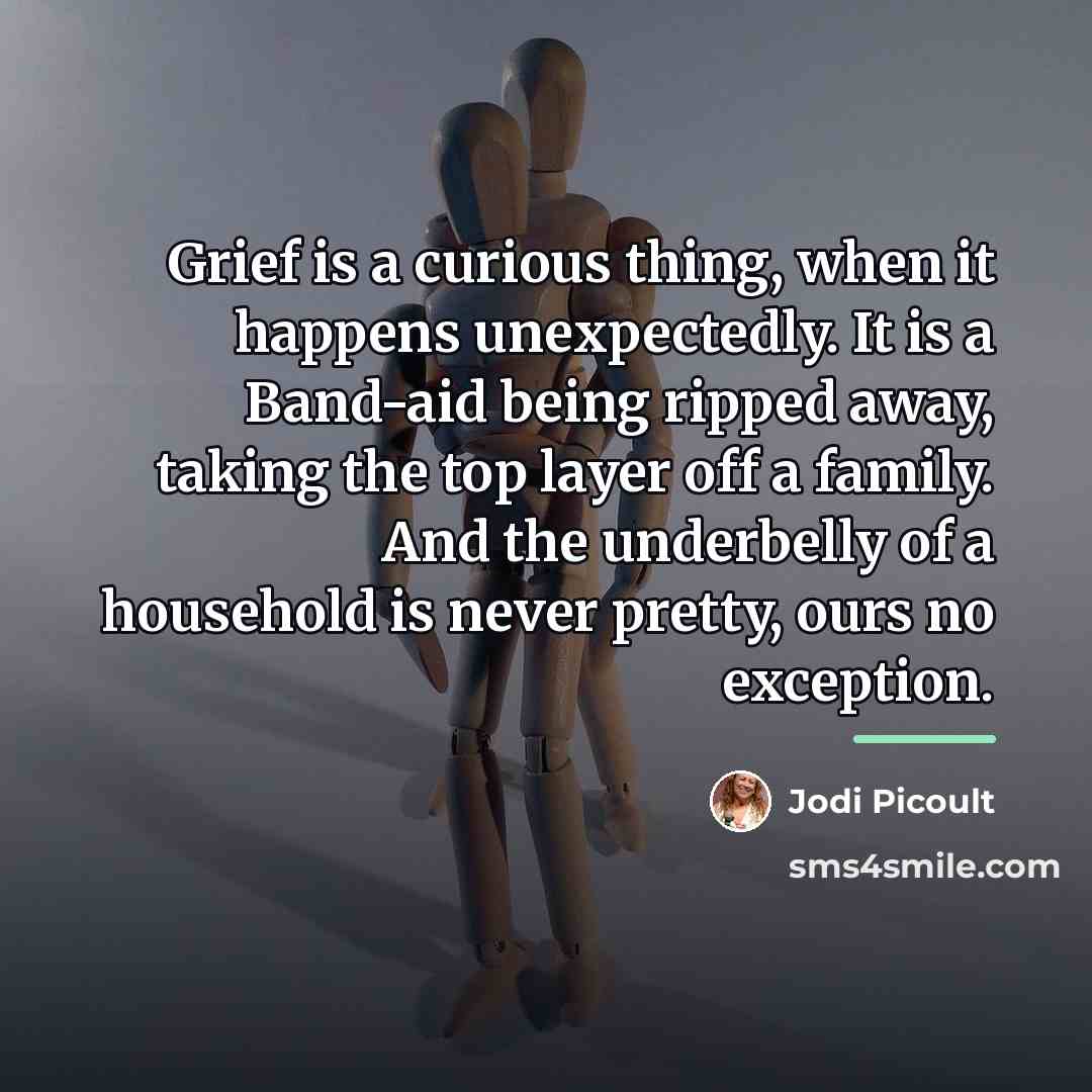 “Grief is a curious thing, when it happens unexpectedly. It…” quote by Jodi Picoult