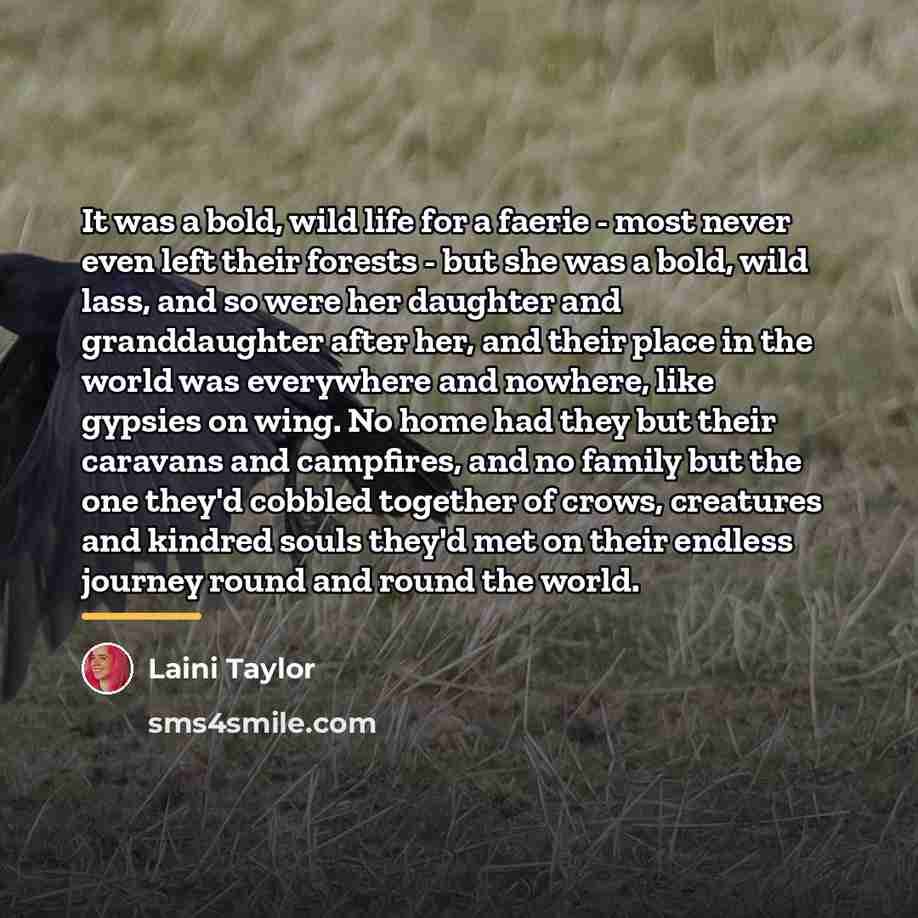 “It was a bold, wild life for a faerie -…” quote by Laini Taylor