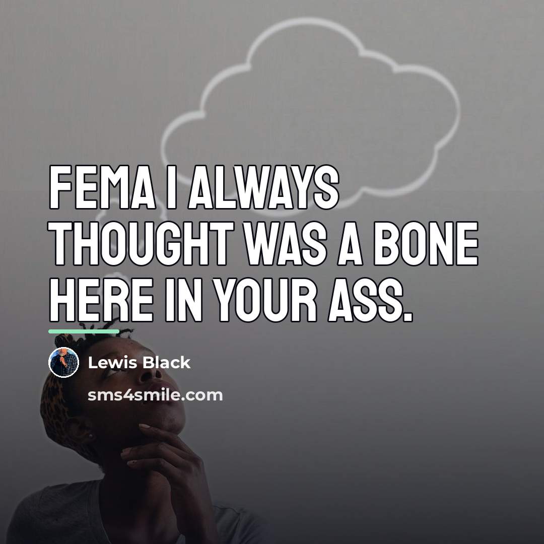 “FEMA I always thought was a bone here in your…” quote by Lewis Black