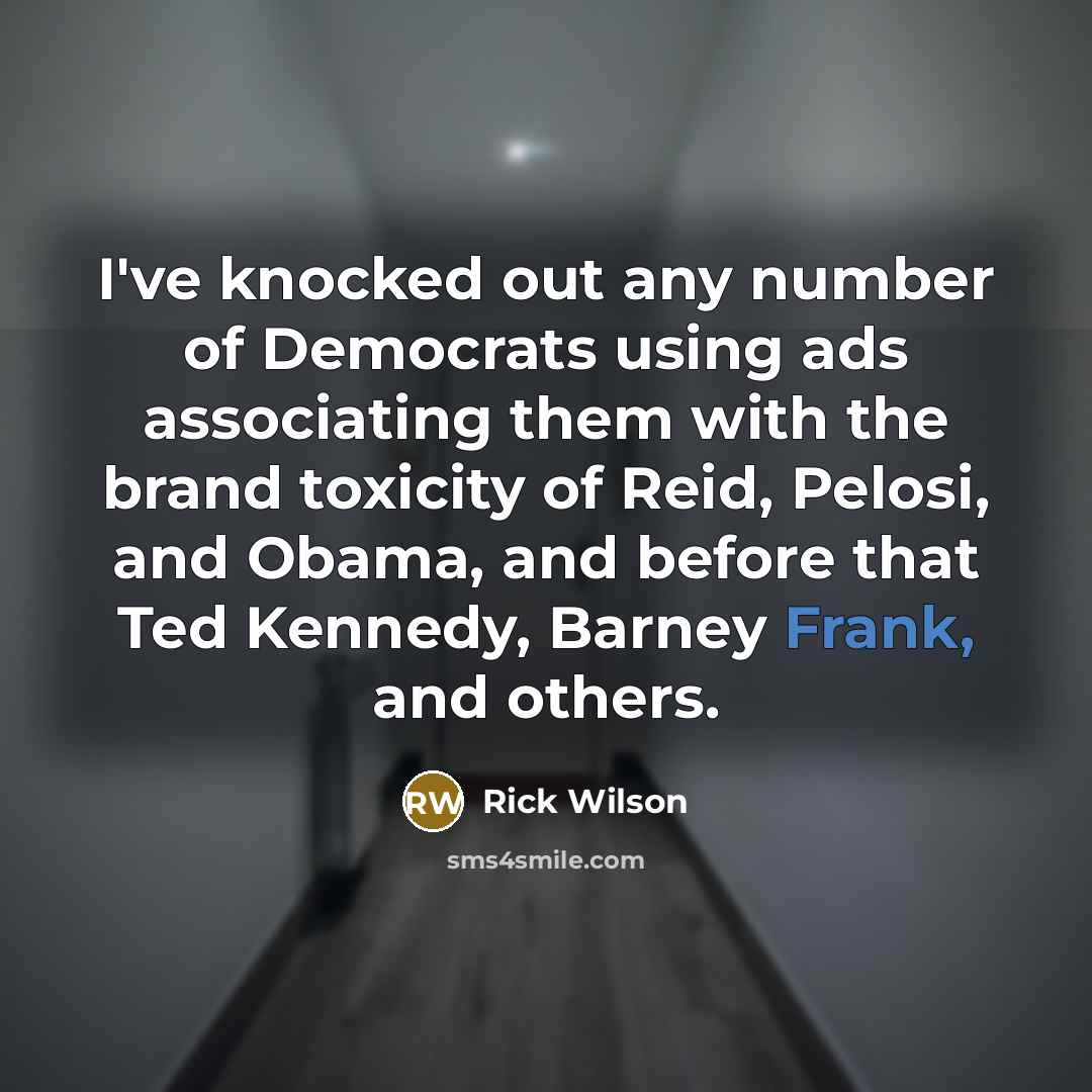 “I've knocked out any number of Democrats using ads associating…” quote by Rick Wilson