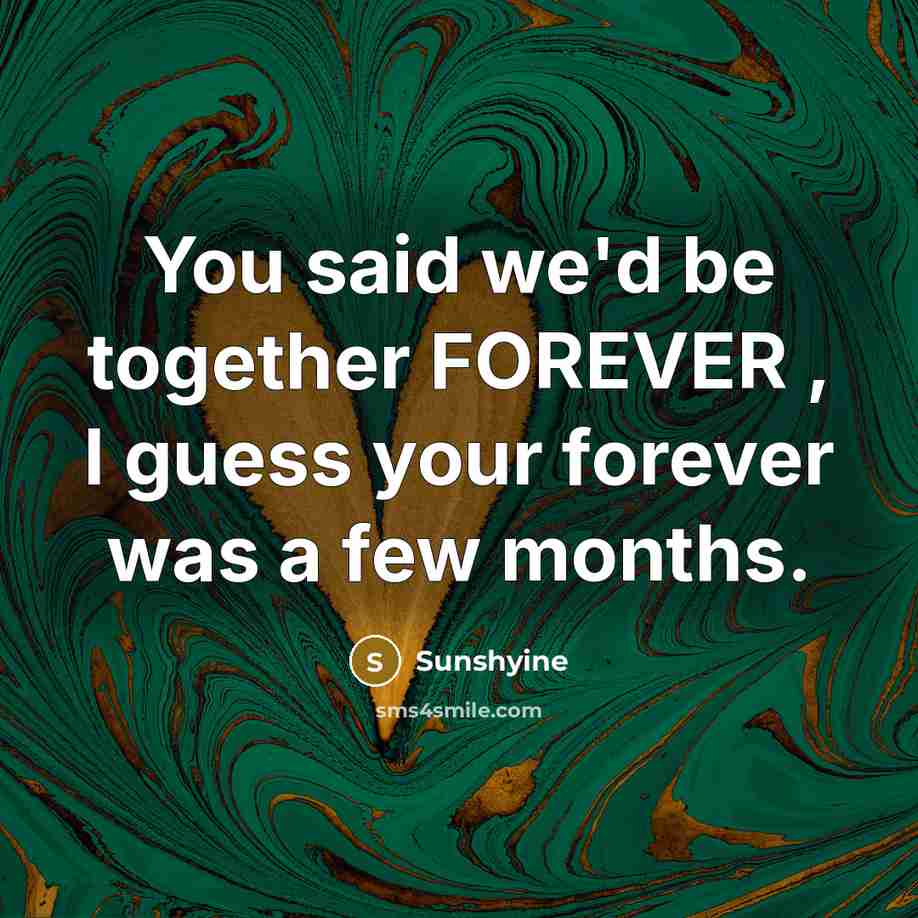 “You said we'd be together FOREVER , I guess your forever was a few months.” quote by Sunshyine