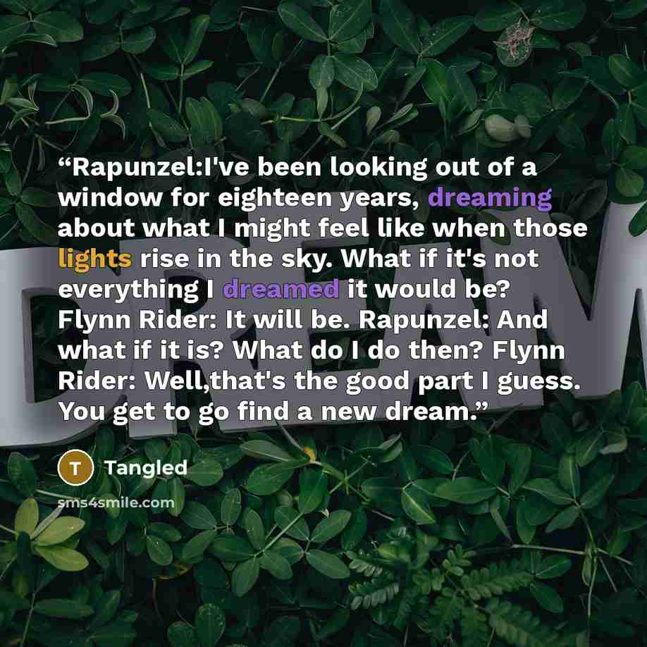 “Rapunzel:I've been looking out of a window for eighteen years, dreaming about what I might feel like when those lights rise in the sky. What if it's not everything I dreamed it would be? Flynn Rider: It will be. Rapunzel: And what if it is? What do I do then? Flynn Rider: Well,that's the good part…” quote by Tangled