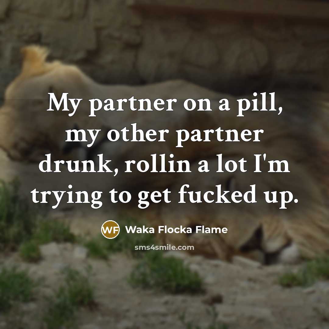 “My partner on a pill, my other partner drunk, rollin…” quote by Waka Flocka Flame