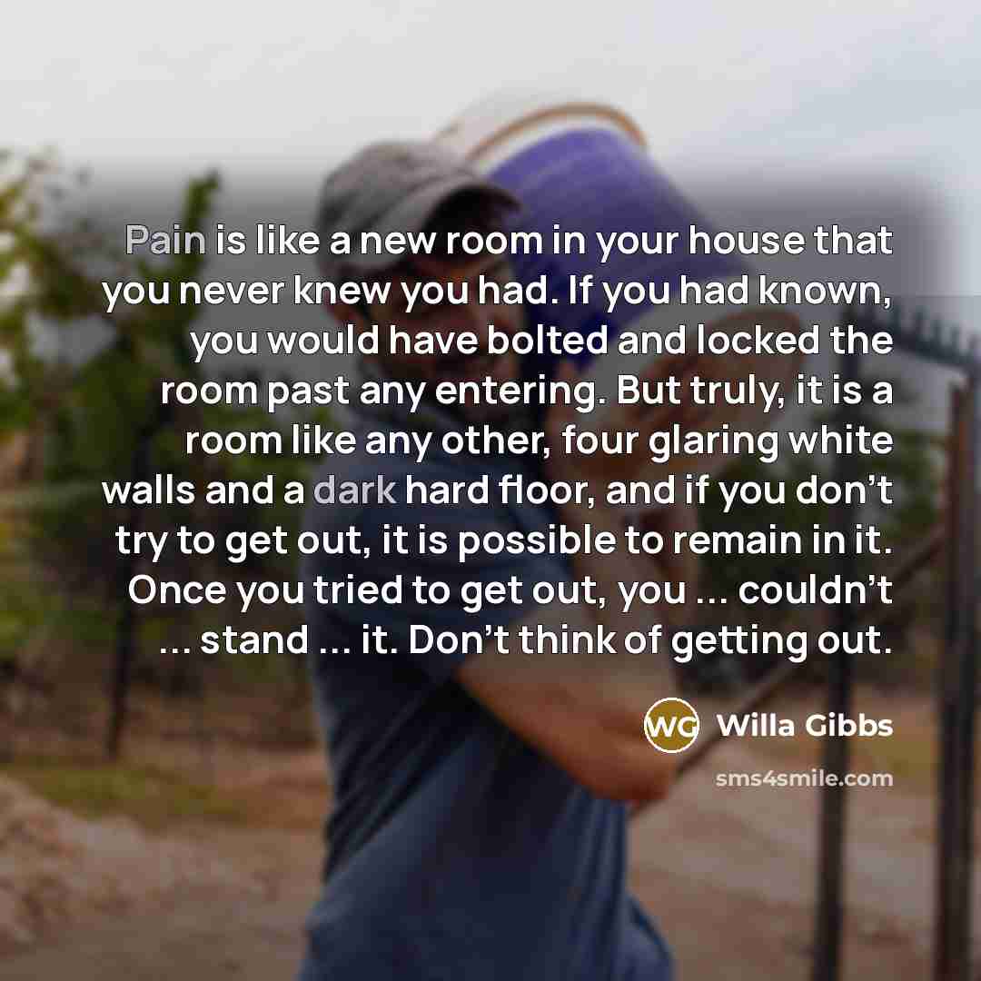 “Pain is like a new room in your house that…” quote by Willa Gibbs