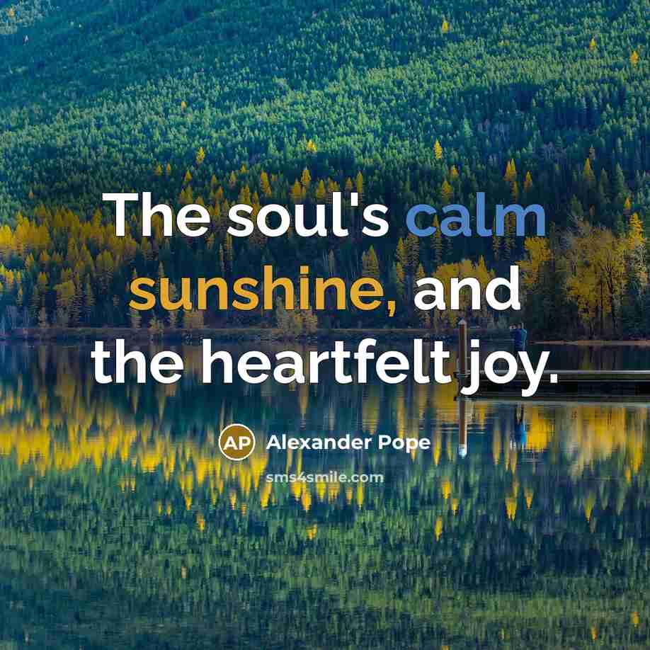 “The soul's calm sunshine, and the heartfelt joy.…” quote by Alexander Pope
