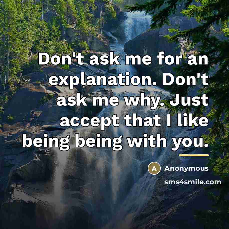 “Don't ask me for an explanation. Don't ask me why.…” quote by Anonymous