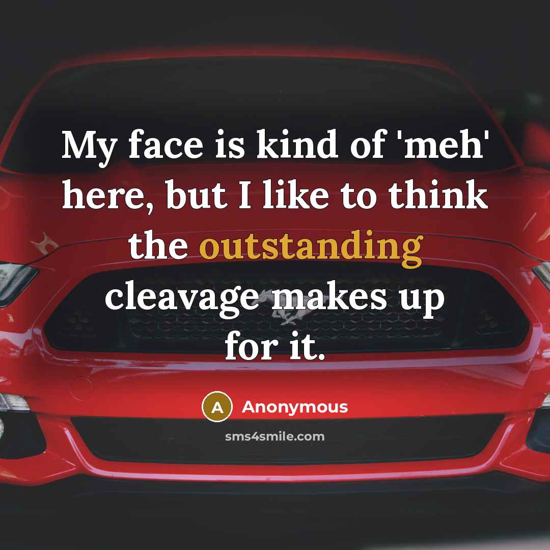 “My face is kind of 'meh' here, but I like to think the outstanding cleavage makes up for it.” quote by Anonymous