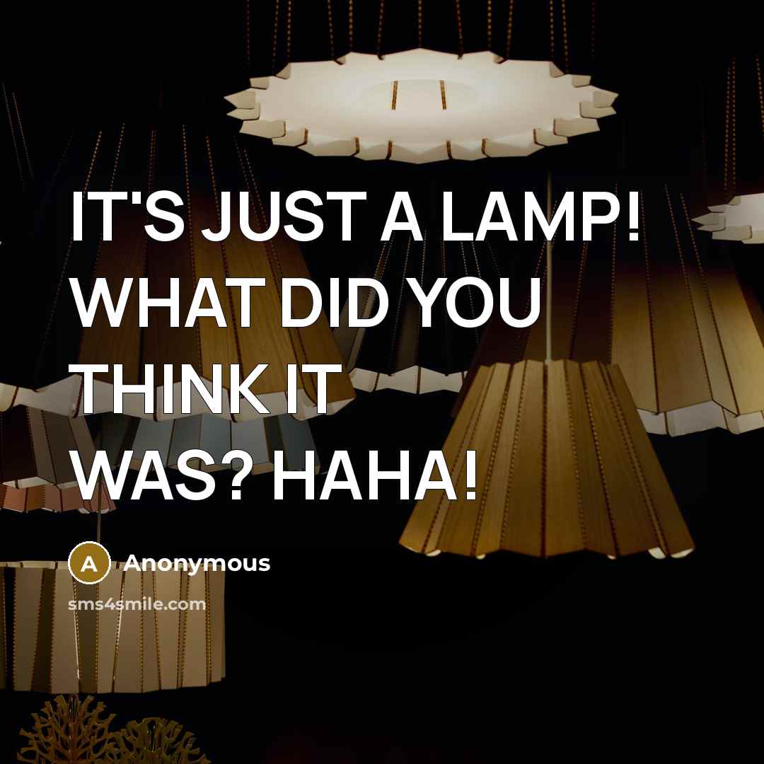 “IT'S JUST A LAMP! WHAT DID YOU THINK IT WAS? HAHA!” quote by Anonymous