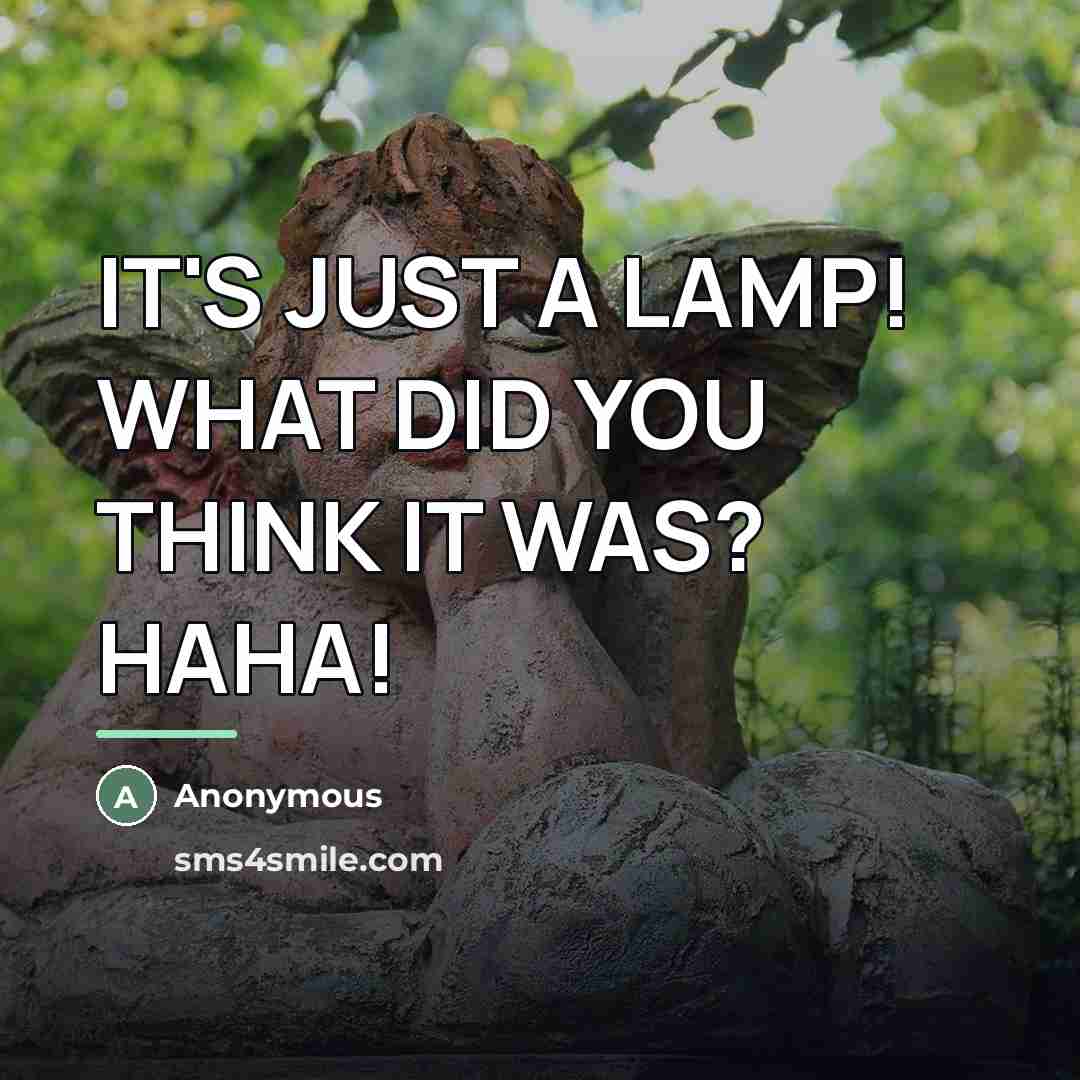 “IT'S JUST A LAMP! WHAT DID YOU THINK IT WAS?…” quote by Anonymous