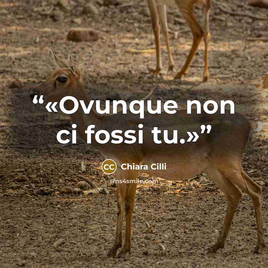 “Ovunque non ci fossi tu.” quote by Chiara Cilli