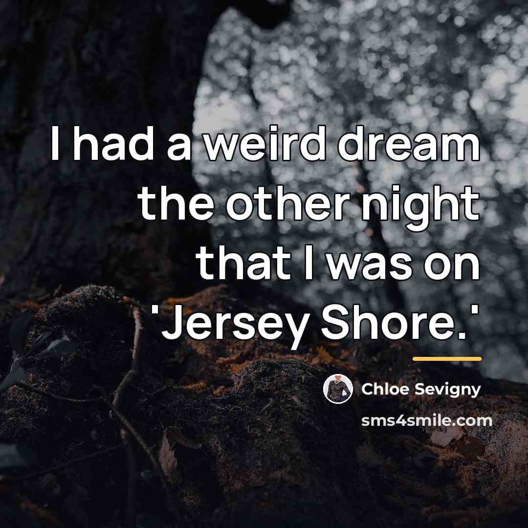 “I had a weird dream the other night that I…” quote by Chloe Sevigny