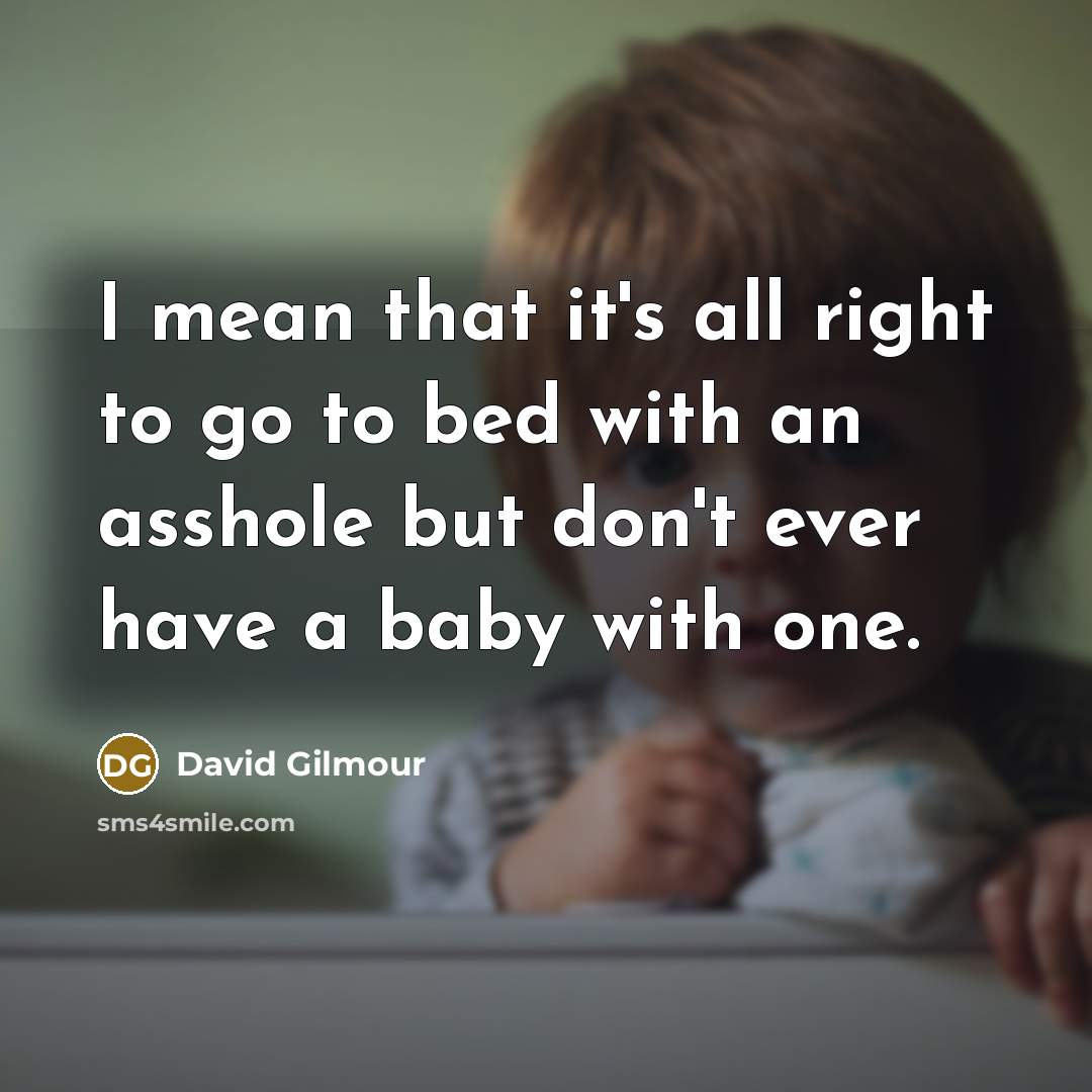 “I mean that it's all right to go to bed with an asshole but don't ever have a baby with one.” quote by David Gilmour