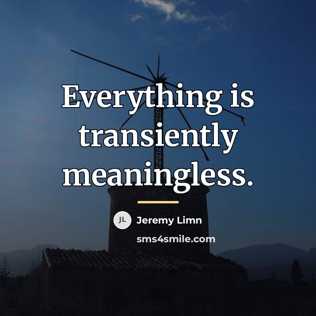 “Everything is transiently meaningless.…” quote by Jeremy Limn
