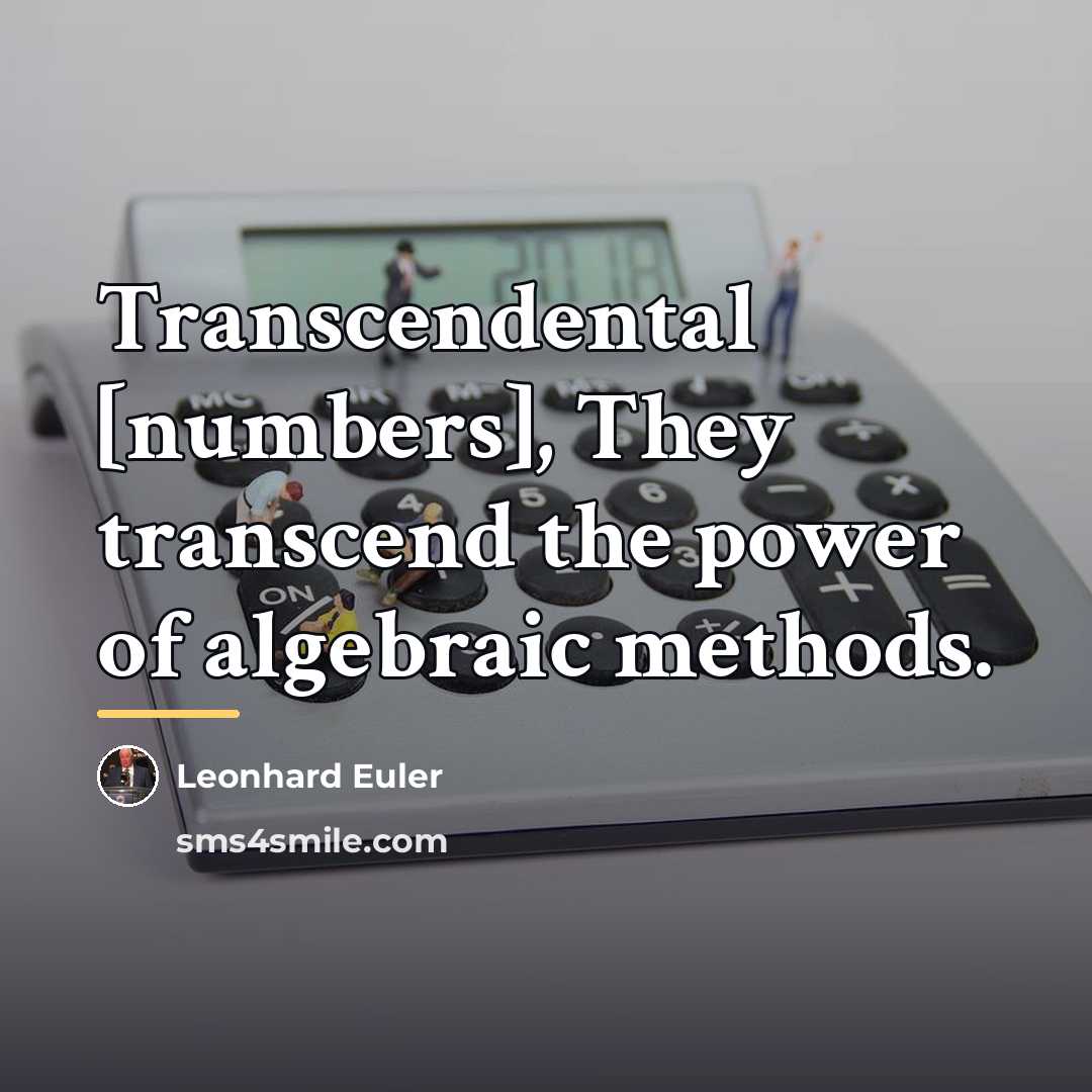 “Transcendental [numbers], They transcend the power of algebraic methods.…” quote by Leonhard Euler