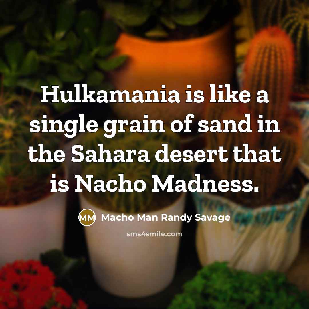 “Hulkamania is like a single grain of sand in the…” quote by Macho Man Randy Savage