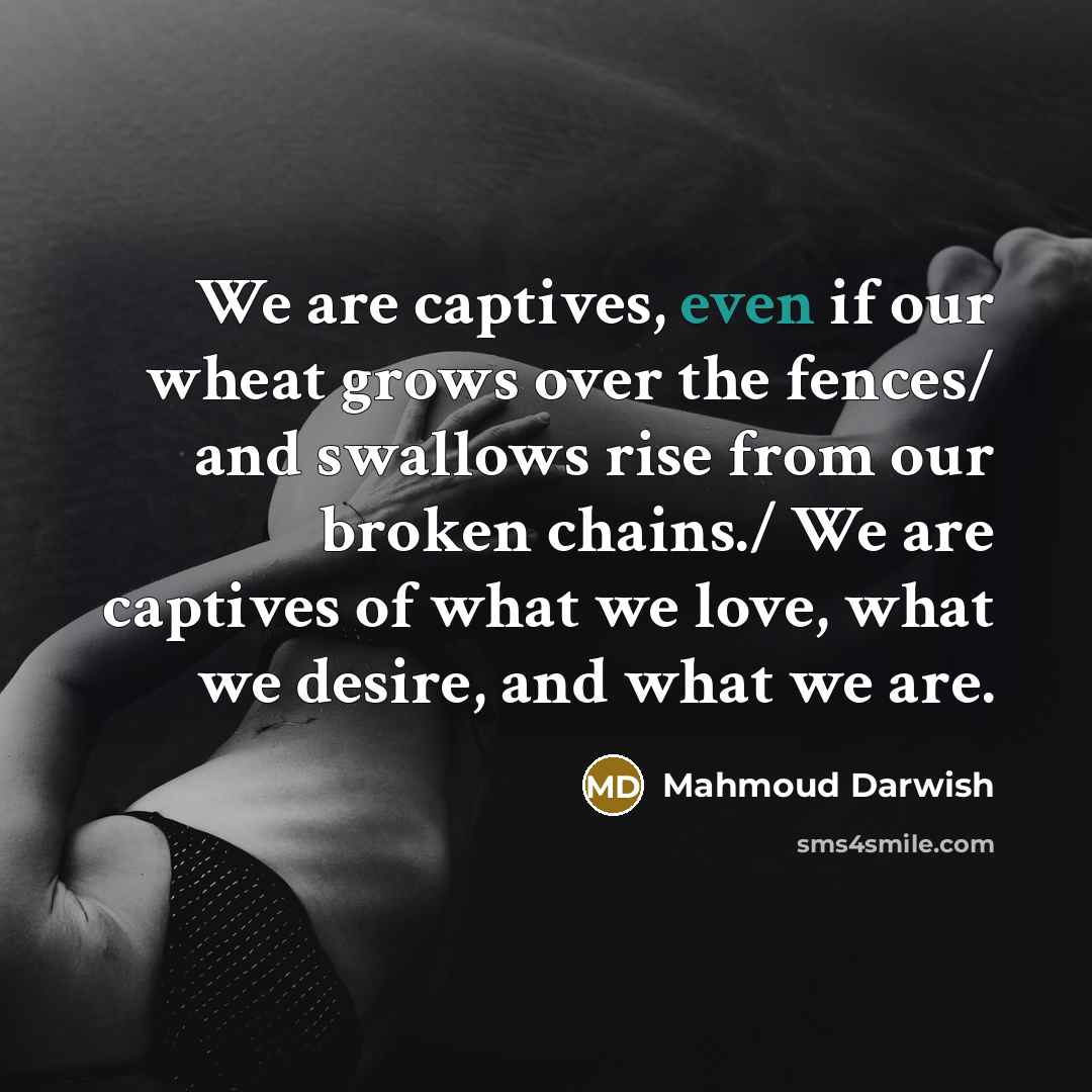“We are captives, even if our wheat grows over the…” quote by Mahmoud Darwish