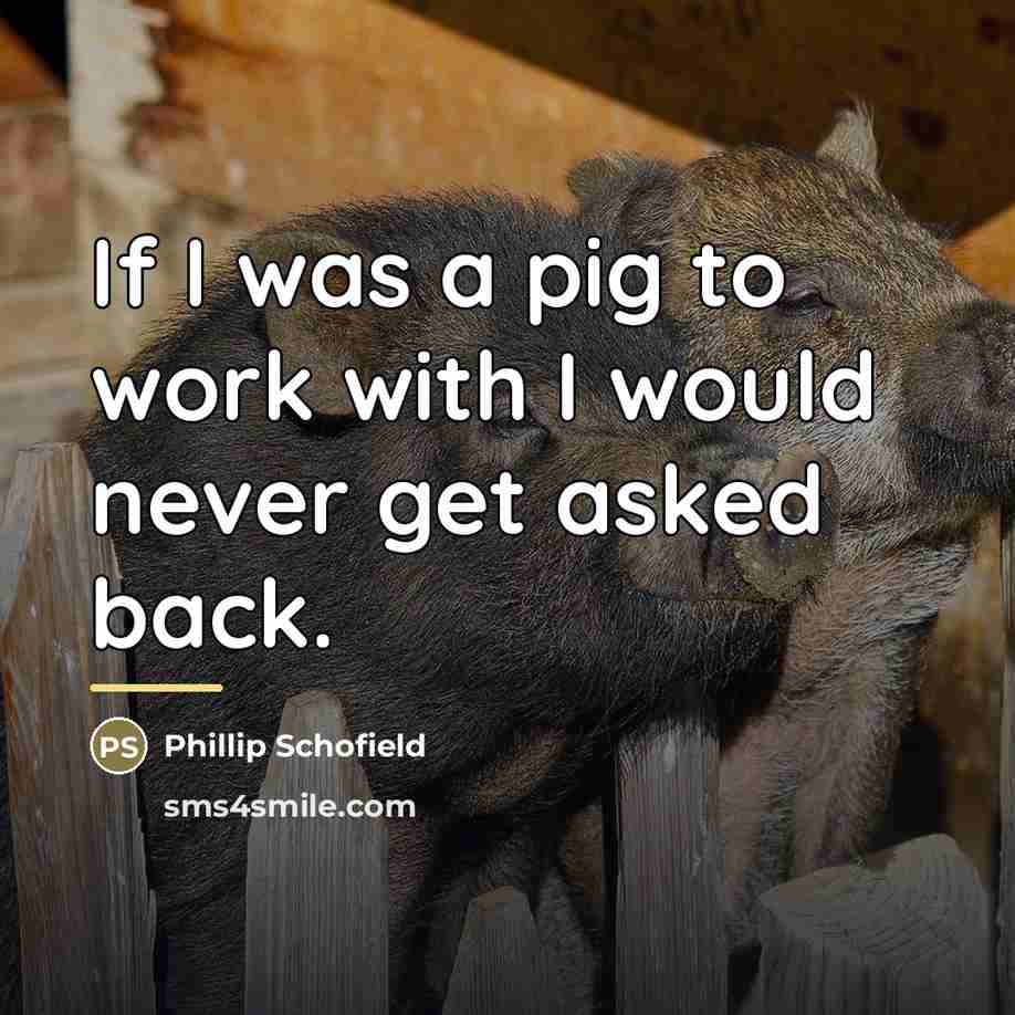 “If I was a pig to work with I would…” quote by Phillip Schofield