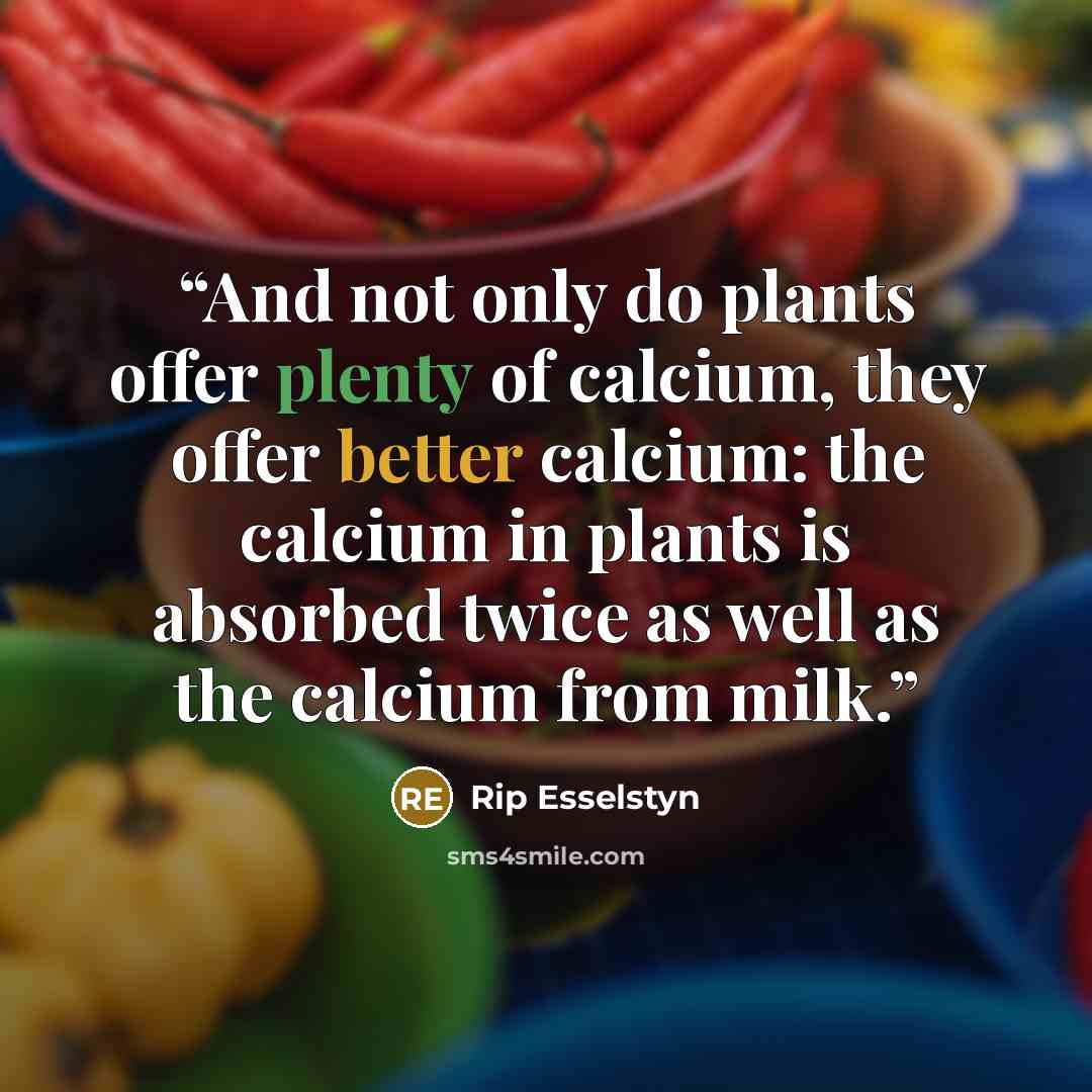 “And not only do plants offer plenty of calcium, they offer better calcium: the calcium in plants is absorbed twice as well as the calcium from milk.” quote by Rip Esselstyn