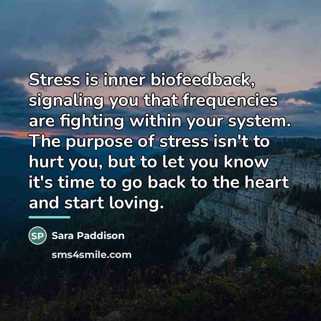“Stress is inner biofeedback, signaling you that frequencies are fighting…” quote by Sara Paddison