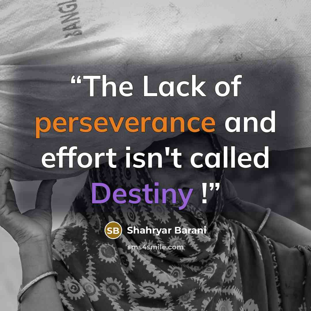 “The Lack of perseverance and effort isn't called Destiny !” quote by Shahryar Barani