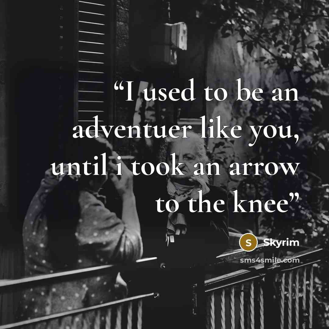 “I used to be an adventuer like you, until i took an arrow to the knee” quote by Skyrim