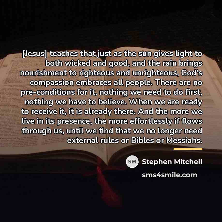 “[Jesus] teaches that just as the sun gives light to…” quote by Stephen Mitchell