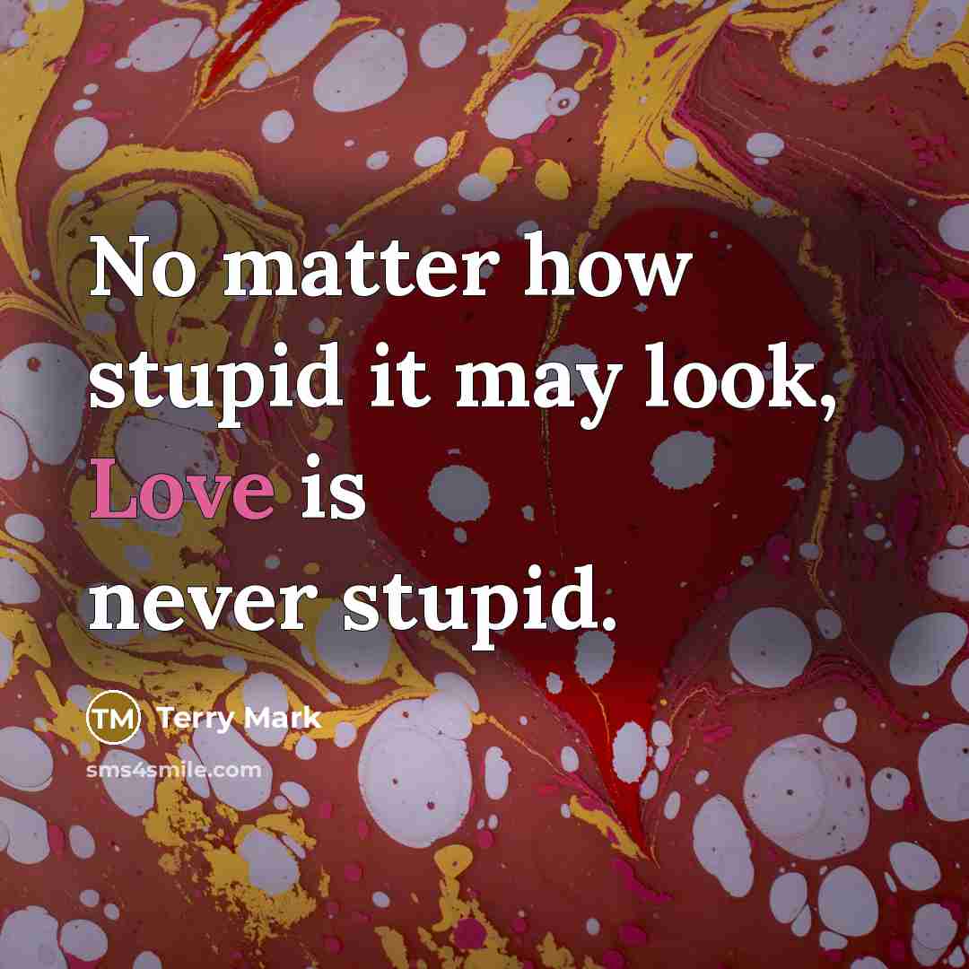 “No matter how stupid it may look, Love is never…” quote by Terry Mark