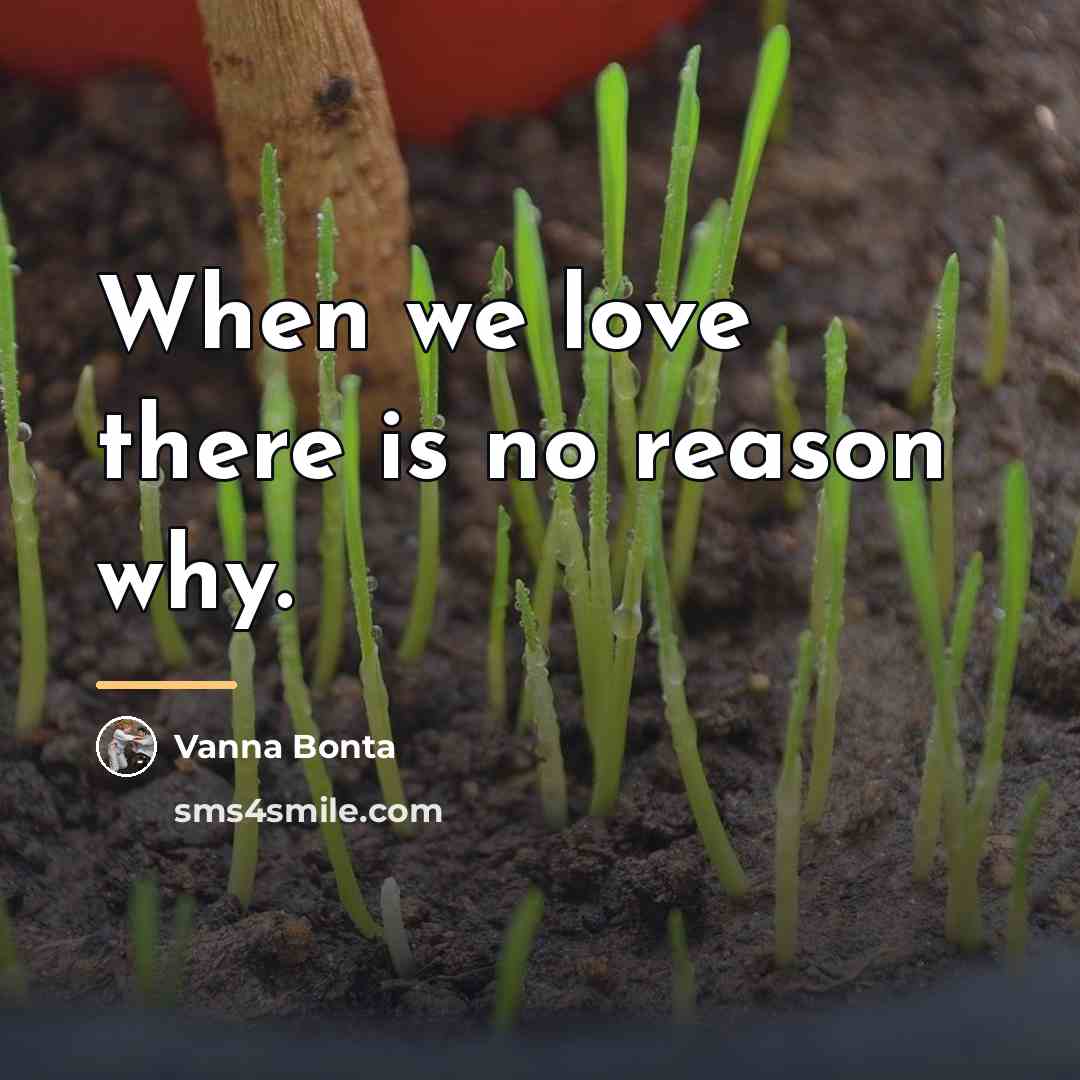 “When we love there is no reason why.…” quote by Vanna Bonta