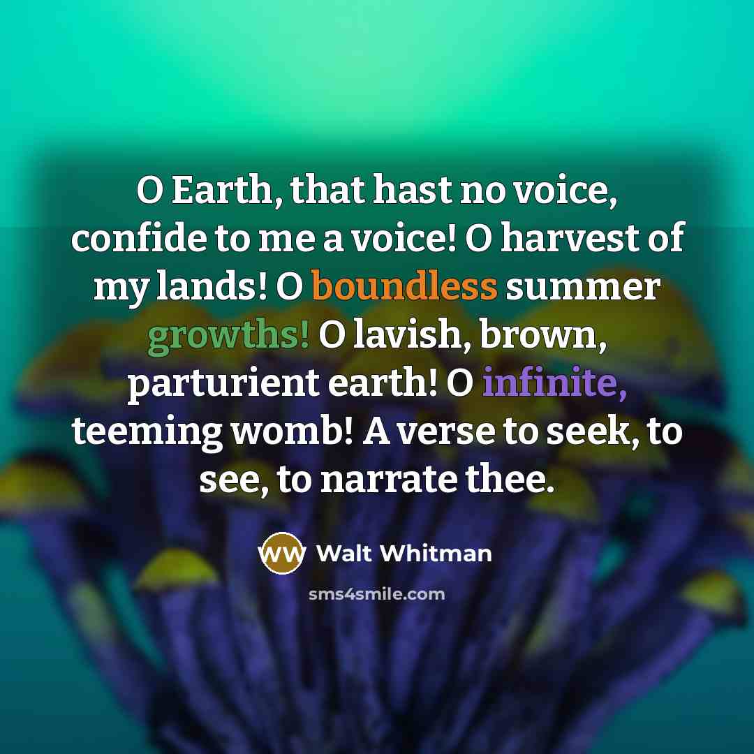 “O Earth, that hast no voice, confide to me a…” quote by Walt Whitman