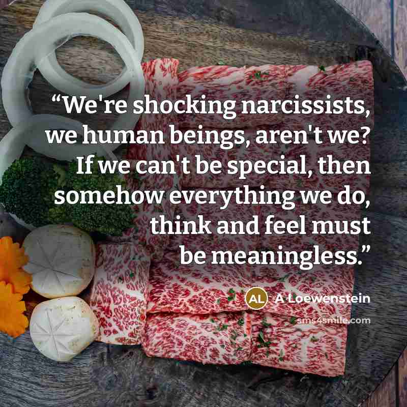 “We're shocking narcissists, we human beings, aren't we? If we can't be special, then somehow everything we do, think and feel must be meaningless.” quote by A Loewenstein